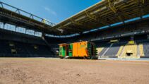 Hybrid Turf heiler Sporthybrid R Borussia Dortmund