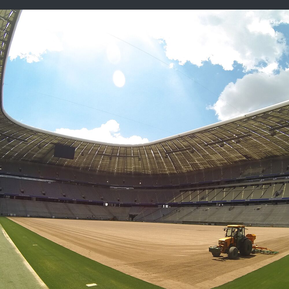 Rasen Allianz Arena