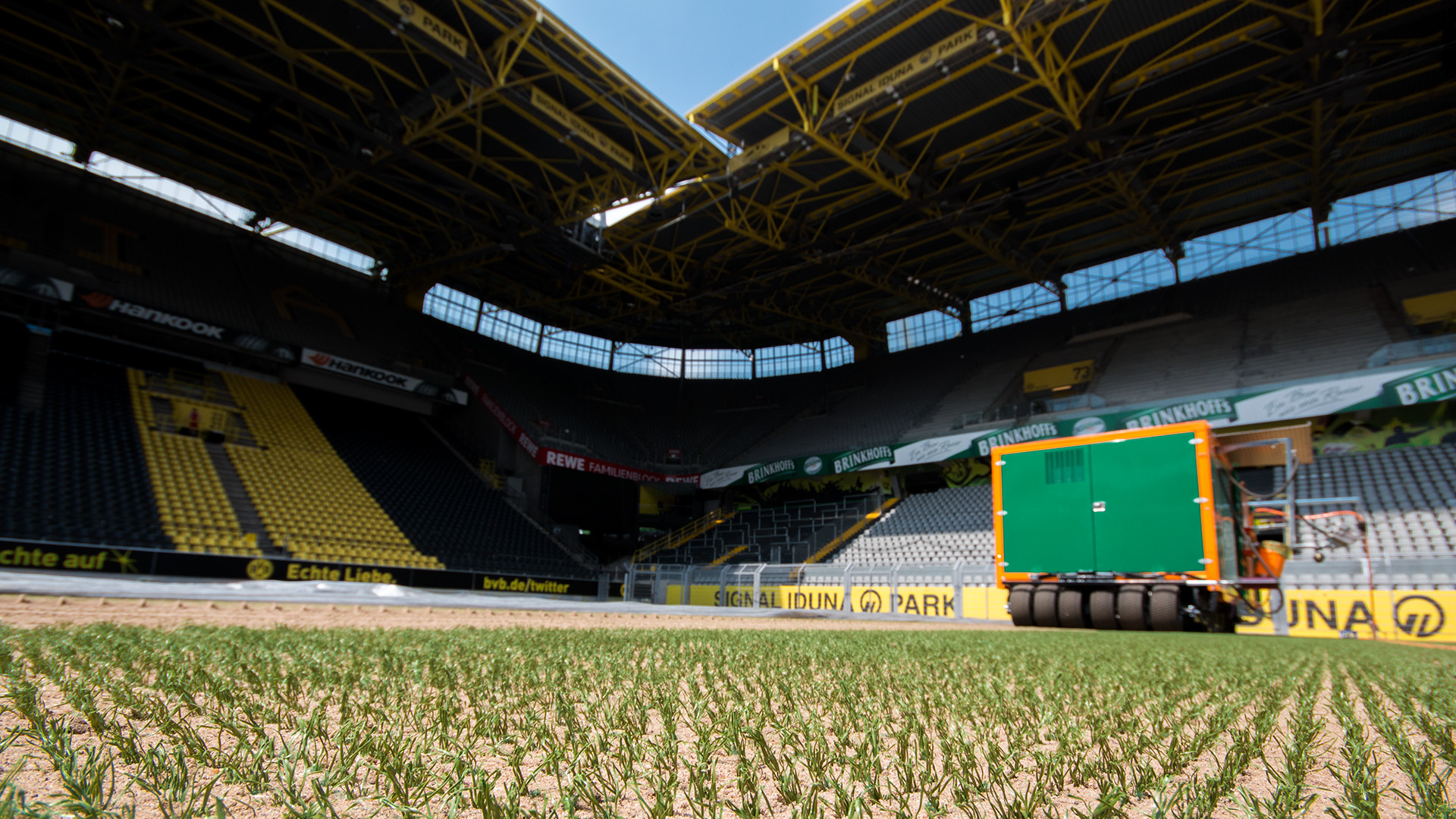 Hybridrasen heiler Sporthybrid R Borussia Dortmund