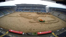 Hybridrasen Sporthybrid R Arminia Bielefeld