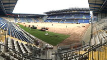 Hybridrasen Sporthybrid R Arminia Bielefeld