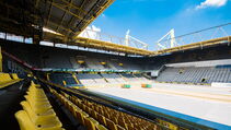 Hybridrasen heiler Sporthybrid R Borussia Dortmund