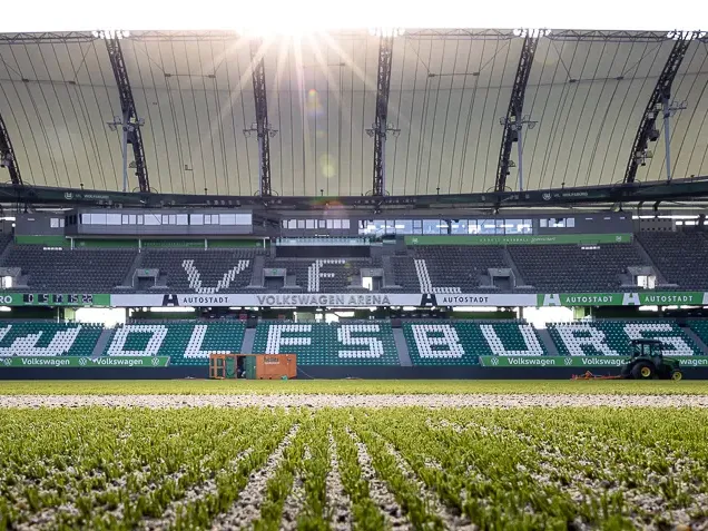Hybridrasen von heiler in der Volkswagen Arena