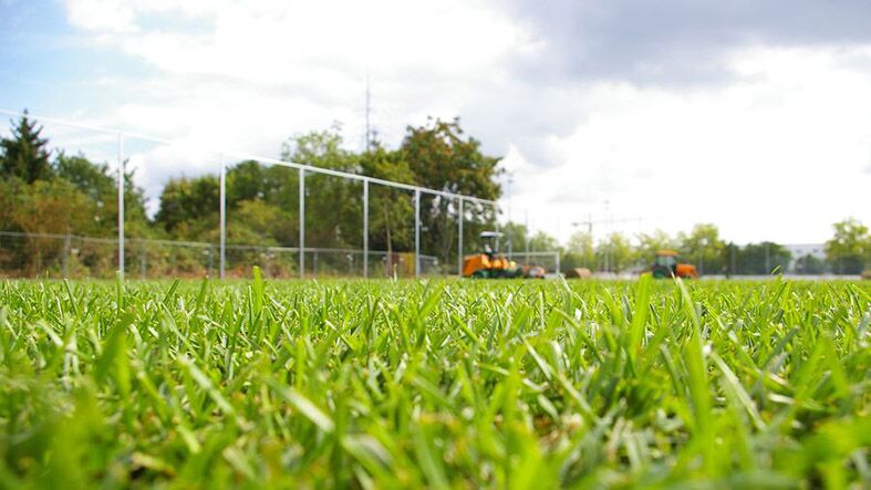 Rasen Mainz 05