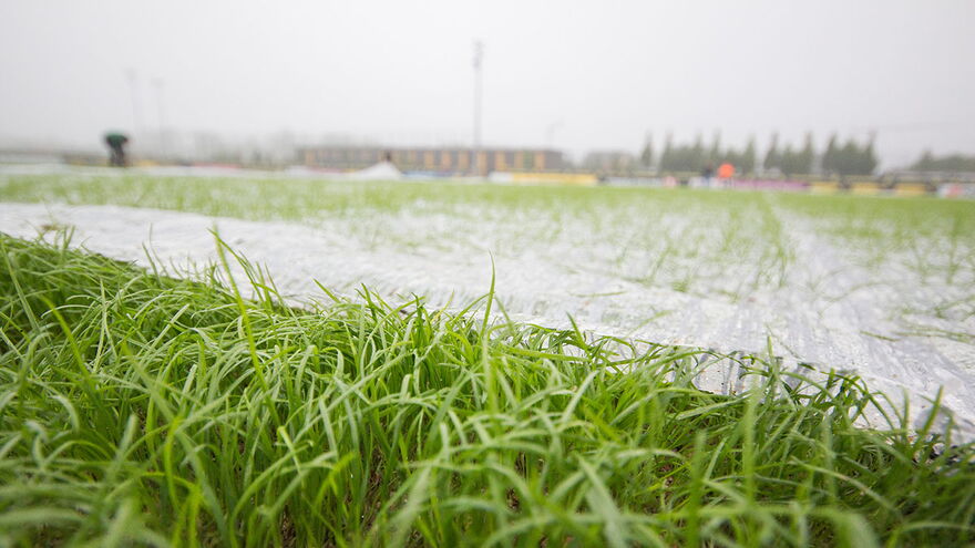 Hybridrasen Sporthybrid R abgedeckt mit Evergreen Turf Cover