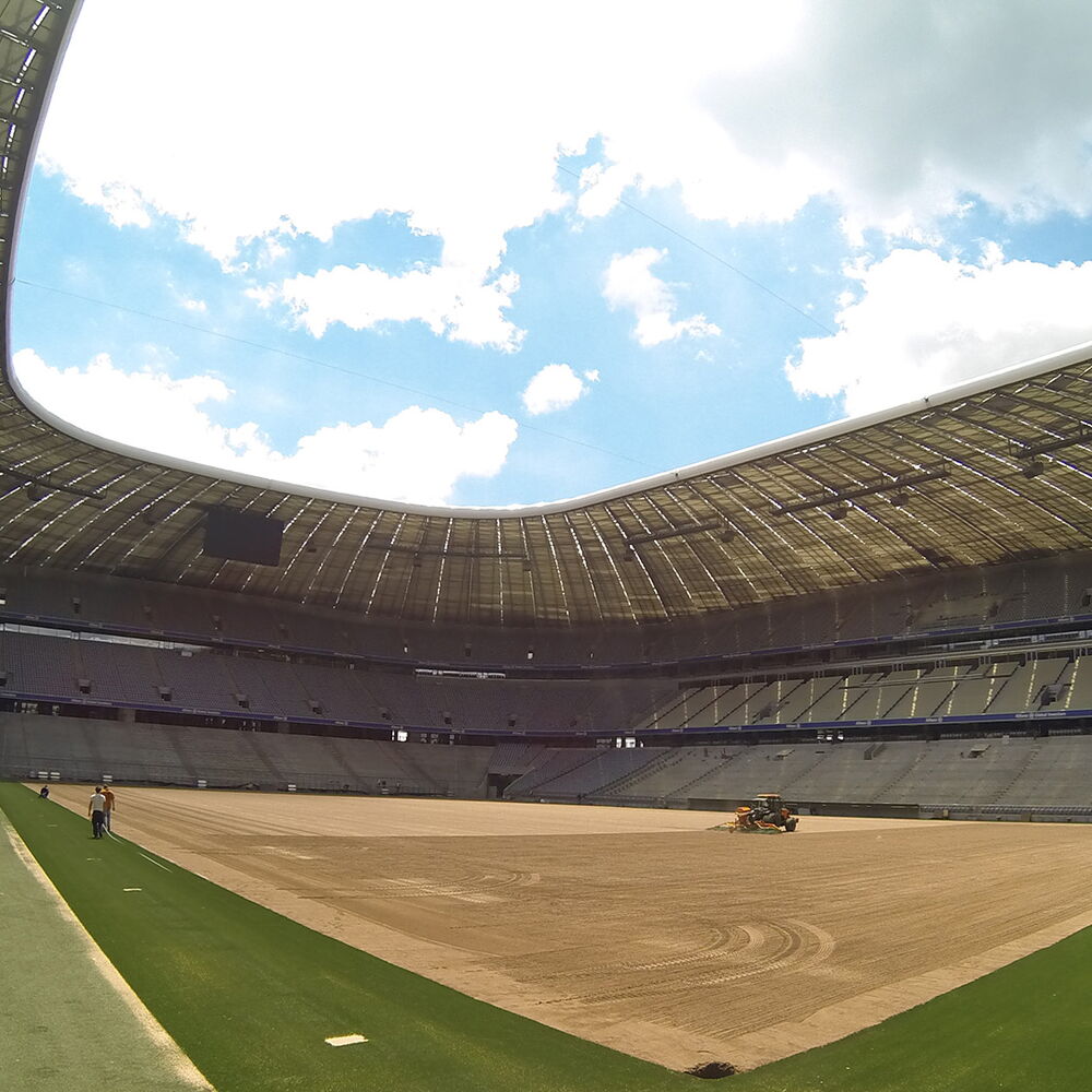 Rasen Allianz Arena