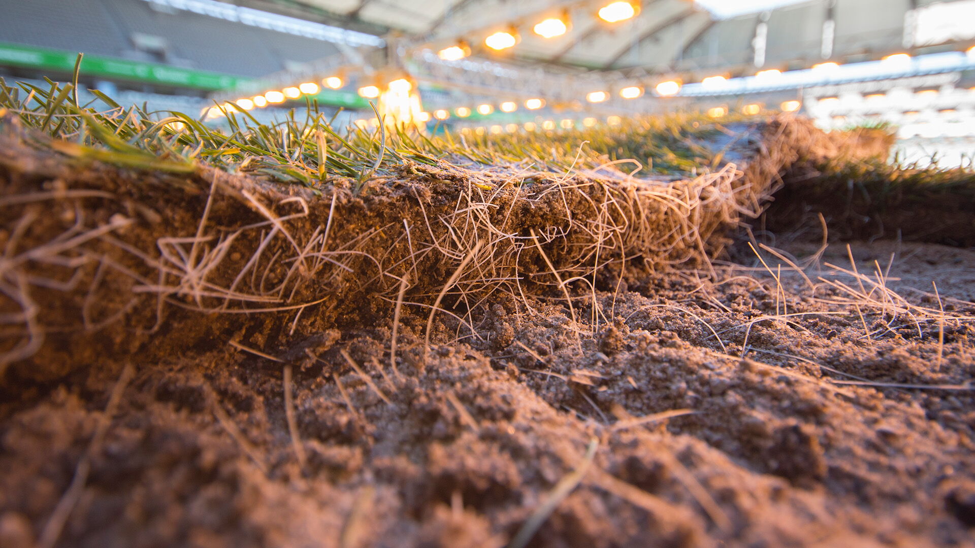 Sporthybrid Turf Fasern in Rasensode