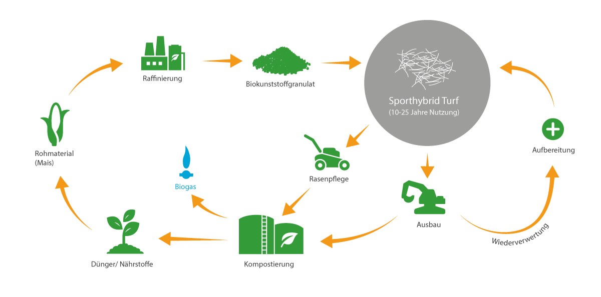 Sporthybrid Turf Kreislauf