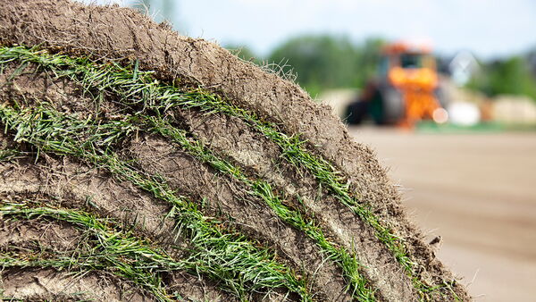 Sporthybrid Turf Rollrasen
