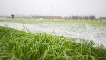 Hybrid Turf Sporthybrid R with Evergreen Turf Cover