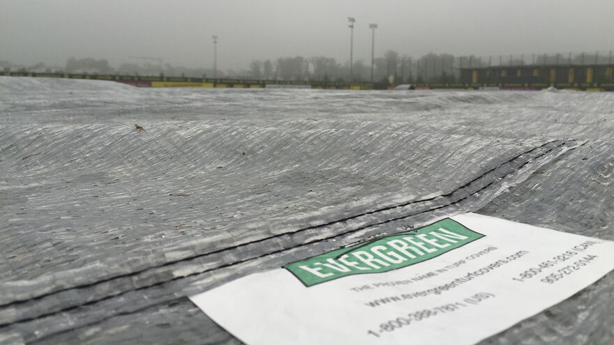 Evergreen Turf Cover Radiant Close Up