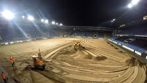 Hybridrasen Sporthybrid R Arminia Bielefeld