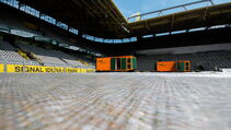 Hybridrasen heiler Sporthybrid R Borussia Dortmund
