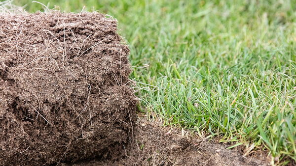 Sporthybrid Turf Sode
