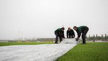 Hybridrasen Sporthybrid R abgedeckt mit Evergreen Turf Cover