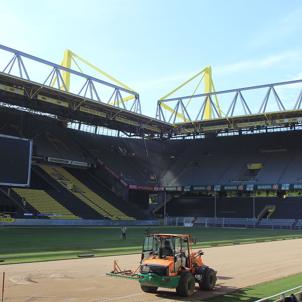 Rasen BVB Borussia Dortmund