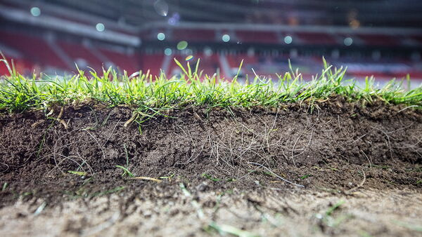 Sporthybrid Turf BayArena Leverkusen