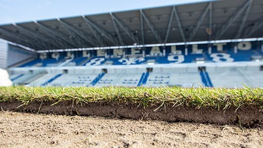 Vorschau Rasen SV Darmstadt 98