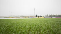 Hybridrasen Sporthybrid R abgedeckt mit Evergreen Turf Cover