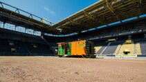 Hybridrasen heiler Sporthybrid R Borussia Dortmund