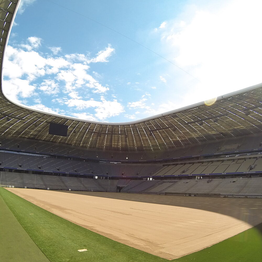 Rasen Allianz Arena Bayern München