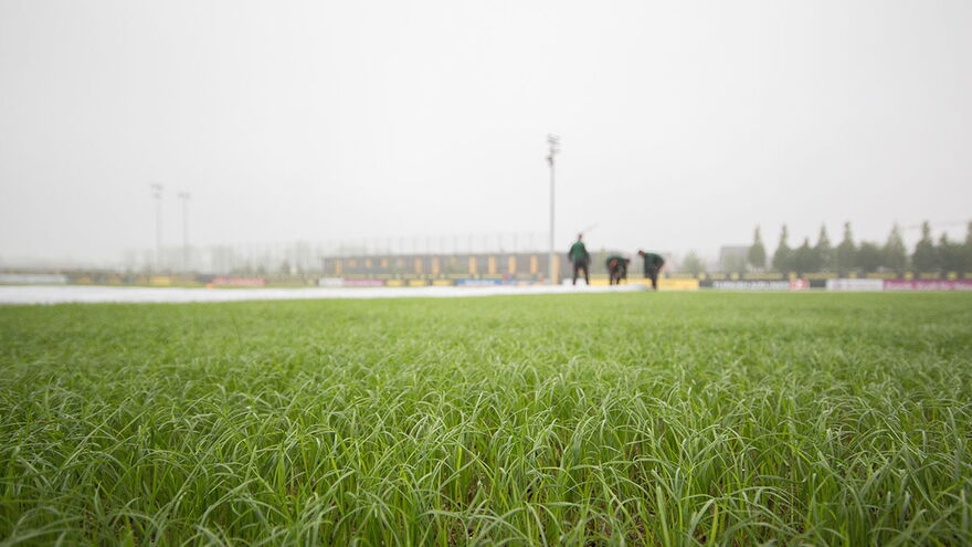 Hybridrasen Sporthybrid R abgedeckt mit Evergreen Turf Cover