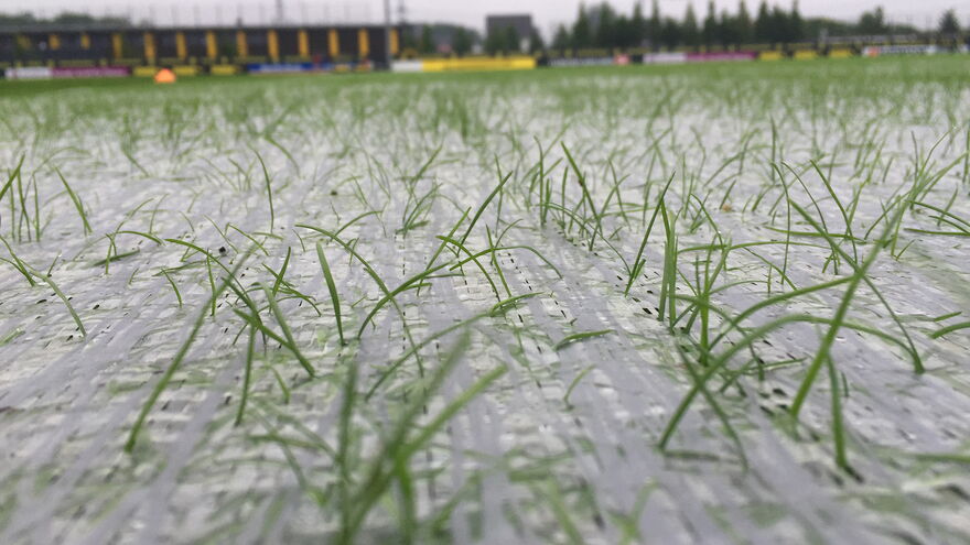 Evergreen Turf Cover Radiant Halme