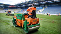 Hybridrasen Sporthybrid R Arminia Bielefeld