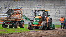 Hybridrasen Sporthybrid R Arminia Bielefeld
