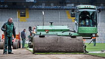 Hybridrasen Sporthybrid R Arminia Bielefeld