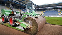 Hybridrasen Sporthybrid R Arminia Bielefeld