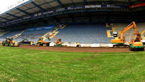 Hybridrasen Sporthybrid R Arminia Bielefeld