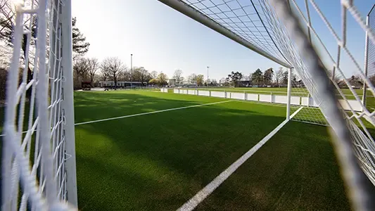 Kunstrasen Windfloete Arminia