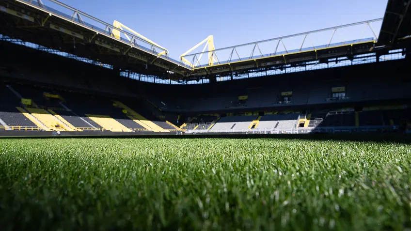 Der Rasen im SIGNAL IDUNA PARK von Borussia Dortmund