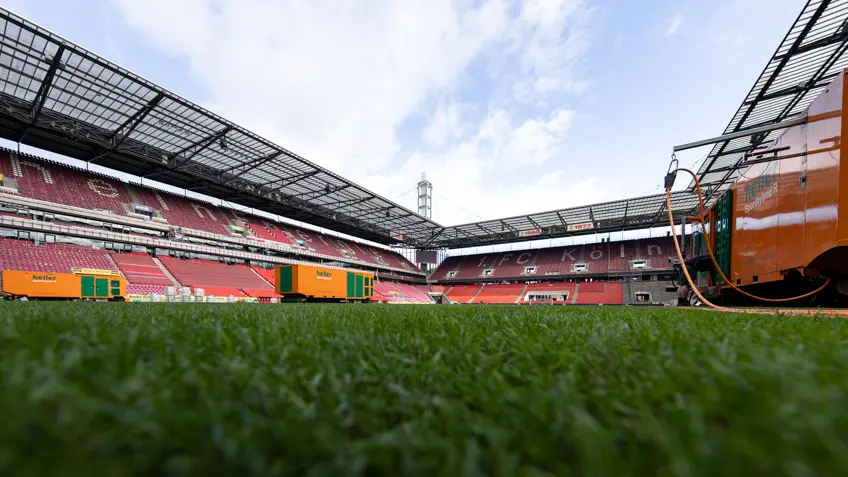 Hybridrasen für das RheinEnergieSTADION Köln