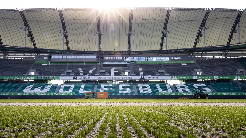 Hybridrasen von heiler in der Volkswagen Arena