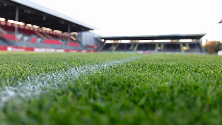 Rasen beim 1. FSV Mainz 05