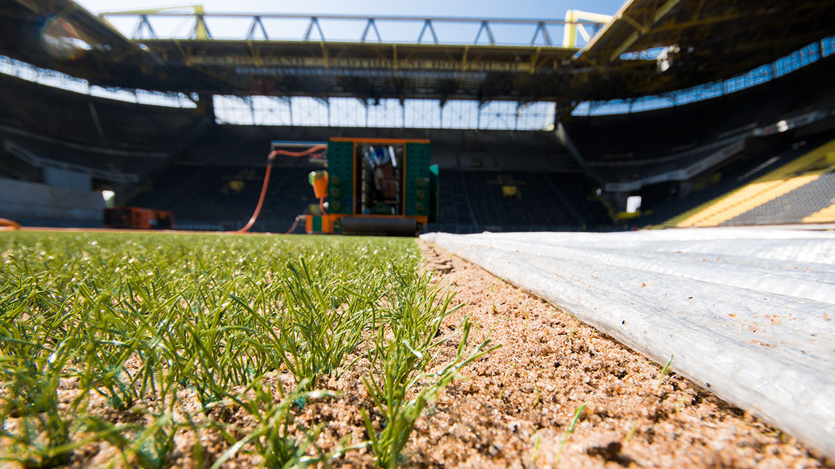 Hybrid Turf heiler Sporthybrid R Borussia Dortmund