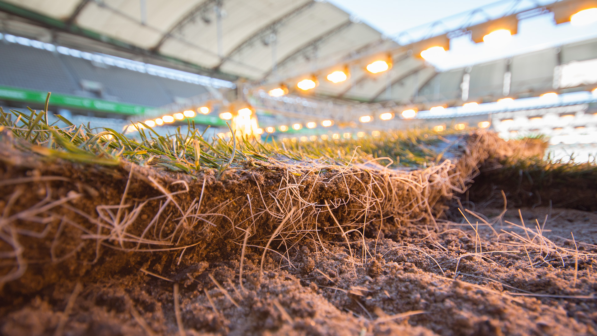 Sustainable Hybrid Turf Wolfsburg